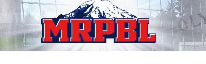 Mount Rainier Professional Baseball League – Q&A with Owner/Commissioner Mike Greene