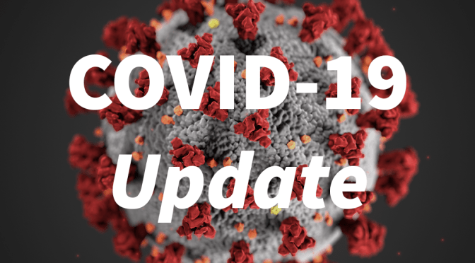 Where YOU Can Watch Baseball (In Person and Online)